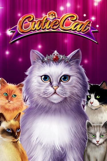 Cutie Cat демо игровой автомат | VAVADA Казино бесплатно