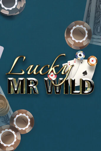 Lucky Mr. Wild демо игровой автомат | VAVADA Казино бесплатно
